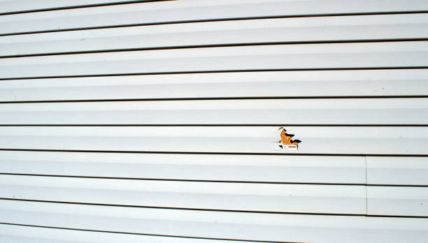 Affordable siding repair and maintenance services in Mendenhall, MS
